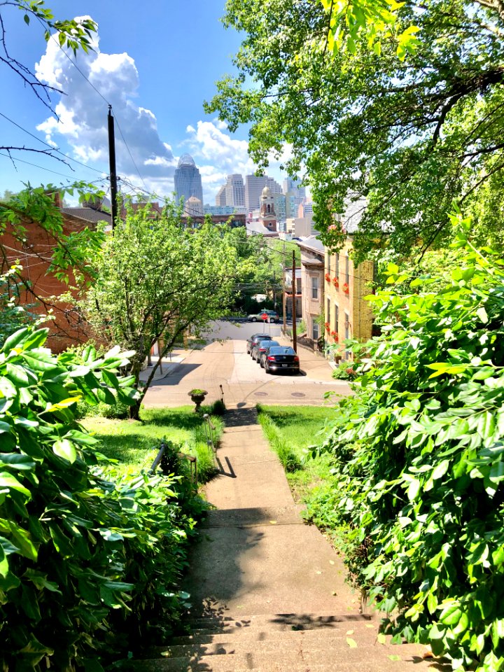 Young Street Steps, Prospect Hill Historic District, Mount… 
