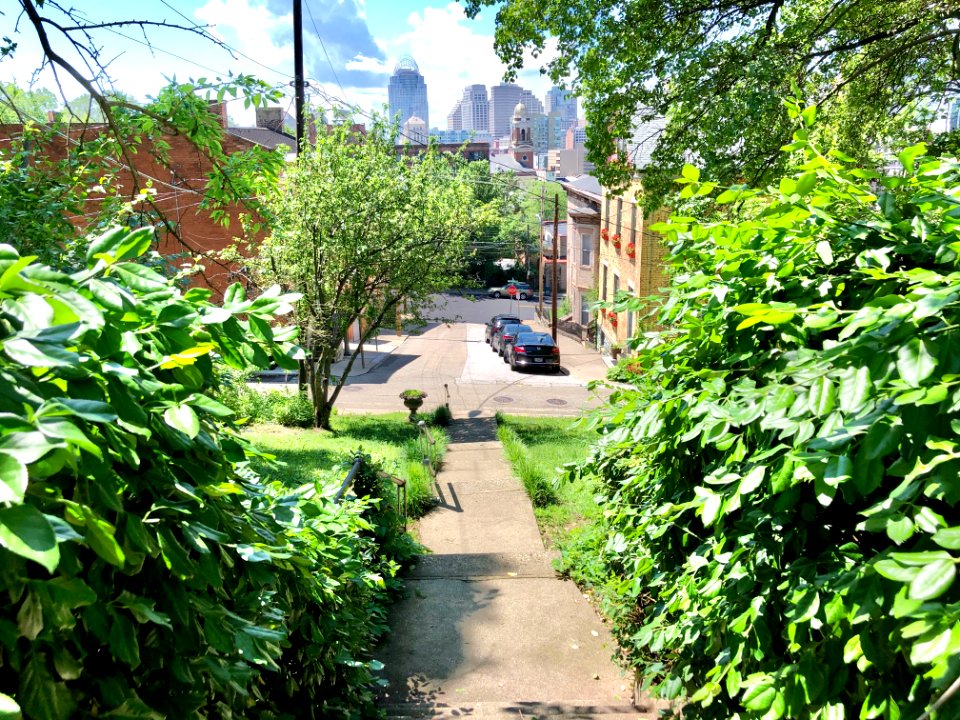 Young Street Steps, Prospect Hill Historic District, Mount… 