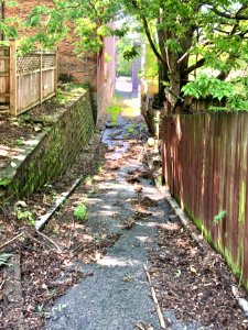 Bunker Alley, Prospect Hill Historic District, Mount Aubur… 