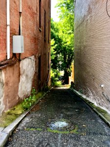 Bunker Alley, Prospect Hill Historic District, Mount Aubur… 