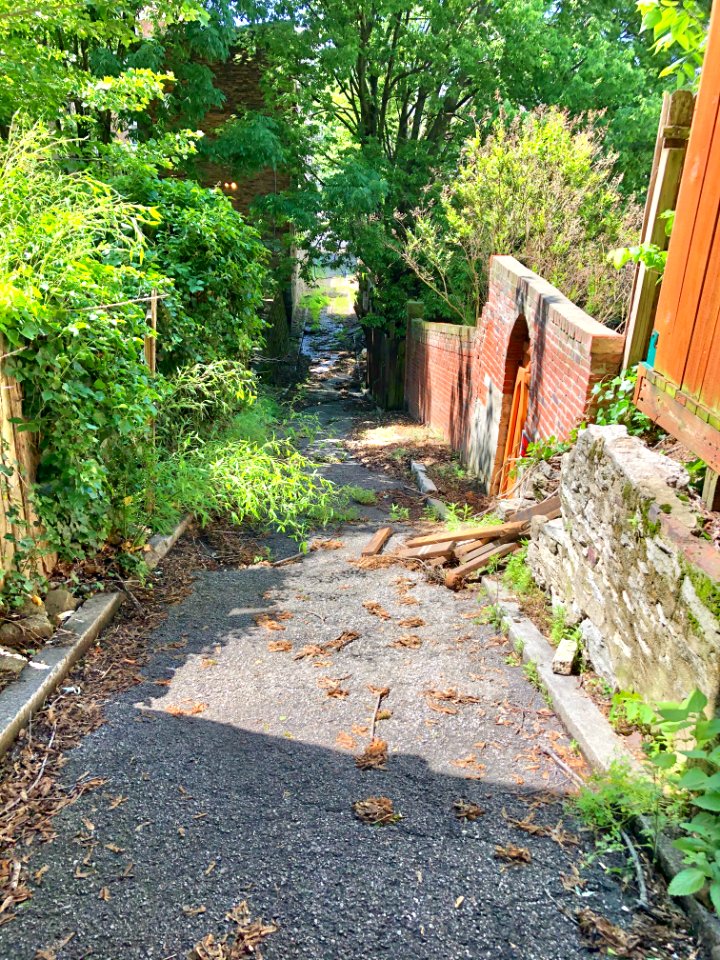 Bunker Alley, Prospect Hill Historic District, Mount Aubur… 