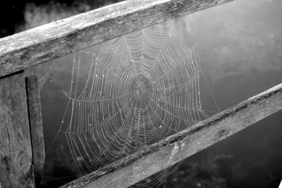 Nature nature conservation strained networks