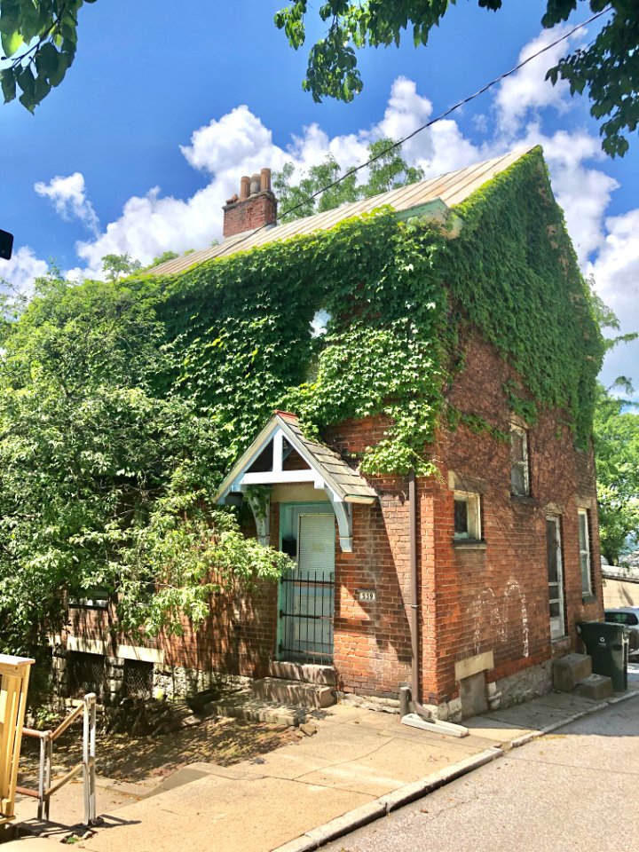 Corporation Alley, Prospect Hill Historic District, Mount … 
