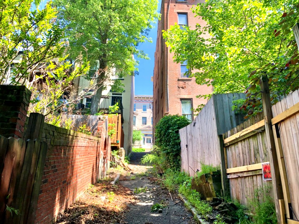 Bunker Alley, Prospect Hill Historic District, Mount Aubur… 