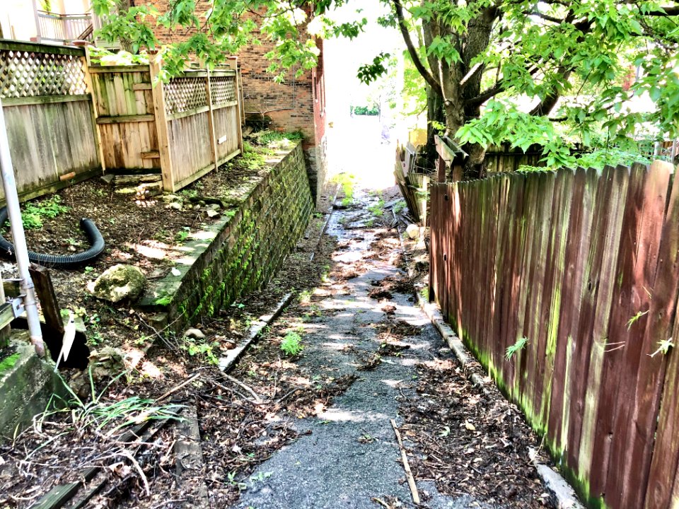 Bunker Alley, Prospect Hill Historic District, Mount Aubur… 