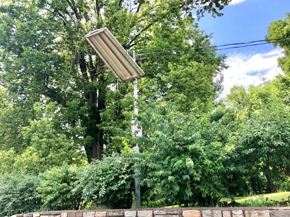 Lamppost, Anderson Ferry, Constance, KY 