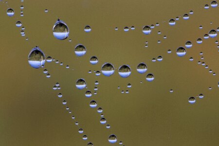 Spin threads dew dewdrop