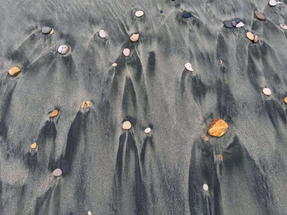 Gray shells beach