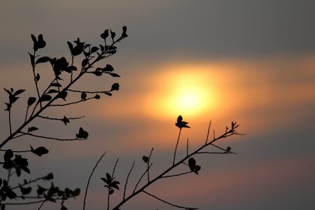 Sky travel nature