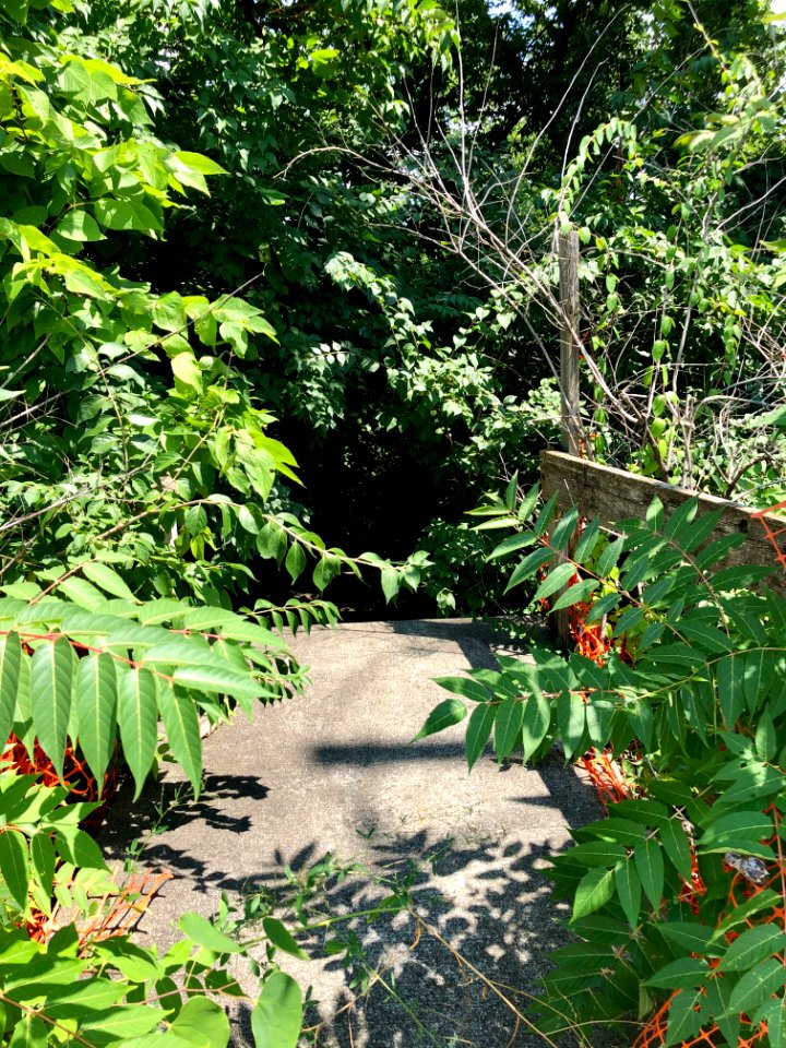 Lost Highway Avenue Steps, Botany Hills, Covington, KY 