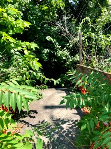 Lost Highway Avenue Steps, Botany Hills, Covington, KY 