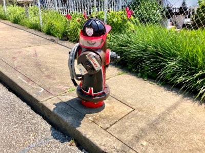 Decorated Fire Hydrant, View Place, Botany Hills, Covingto… 