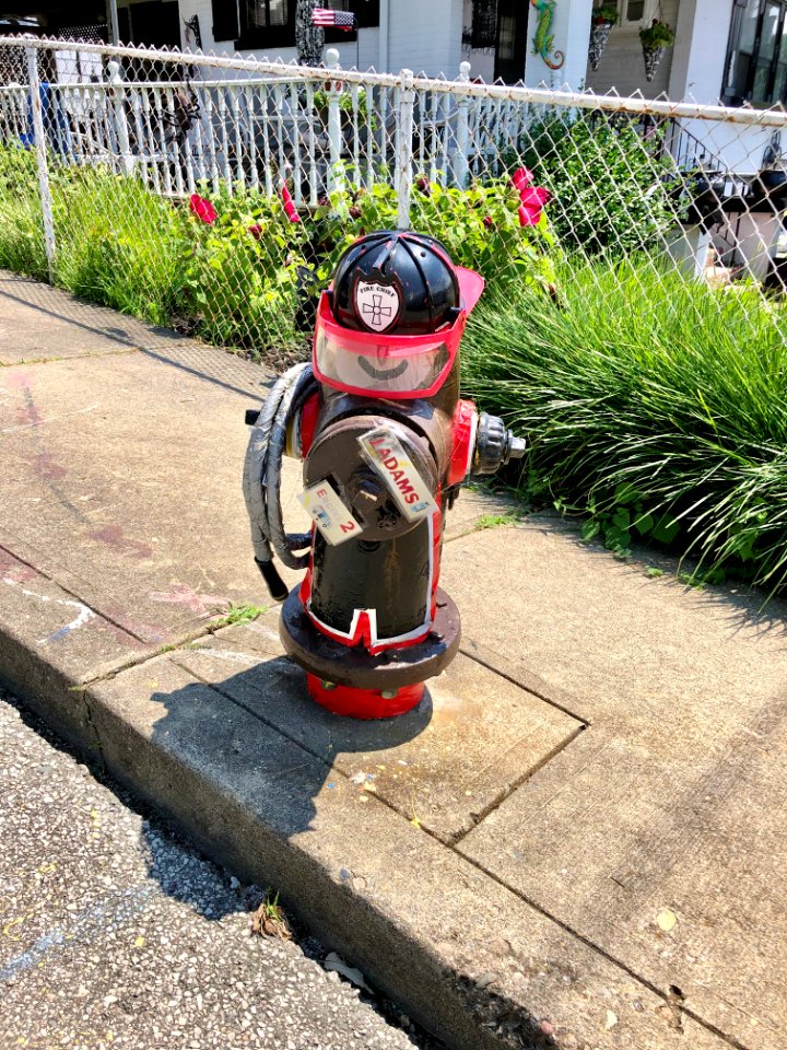 Decorated Fire Hydrant, View Place, Botany Hills, Covingto… 