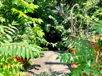 Lost Highway Avenue Steps, Botany Hills, Covington, KY 