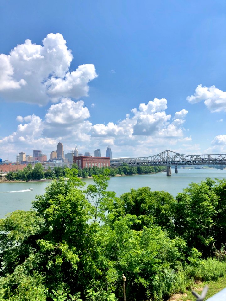 Cincinnati from Highway Avenue, Botany Hills, Covington, K… 