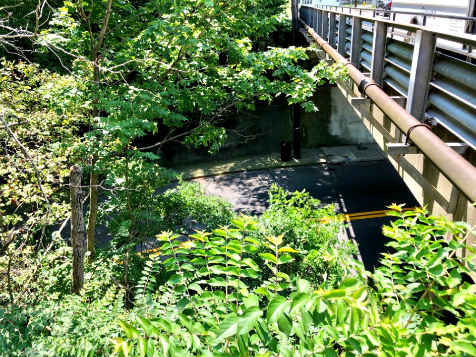 Parkway Avenue Overpass, Botany Hills, Covington, KY 
