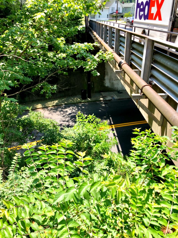 Parkway Avenue Overpass, Botany Hills, Covington, KY 