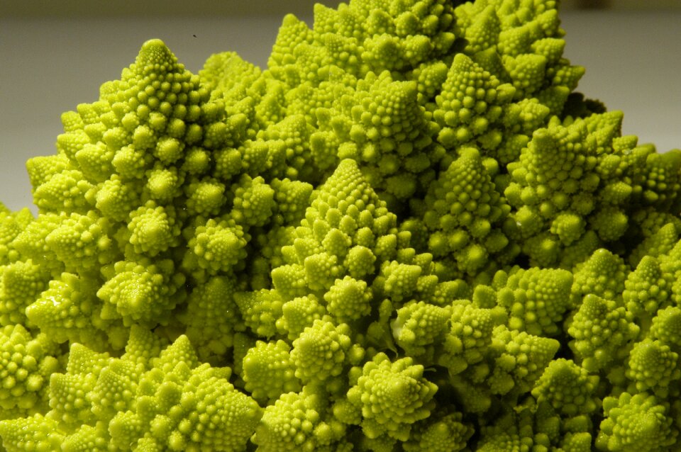 Vegetables cauliflower fractal