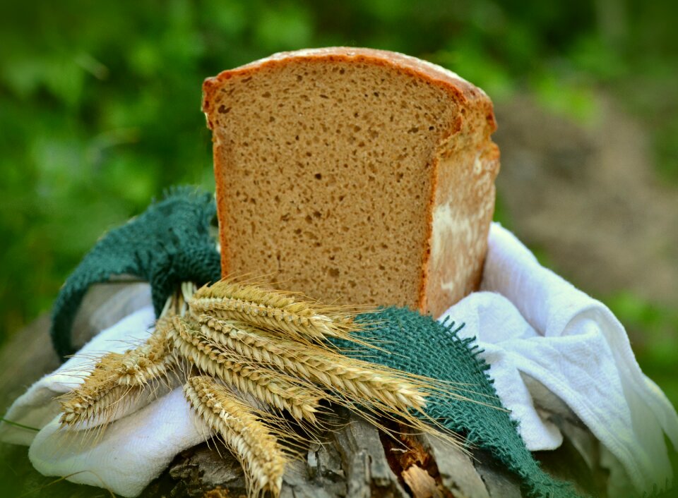 Corn stalks bread bake
