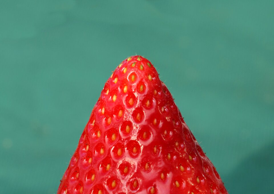 Sweet delicious food