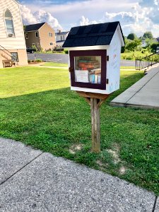 Little Free Library, Jefferson Street, Alexandria, KY 