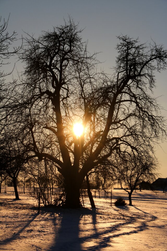 Sun abendstimmung snow