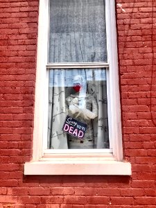 Sorry We're Dead Sign, 8th Street, Two Rivers, Newport, KY… 