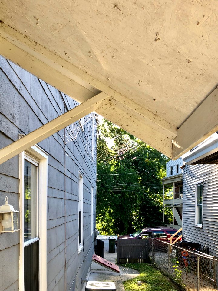 Orb Web, Philadelphia Street, Mainstrasse Village, Covingt… 
