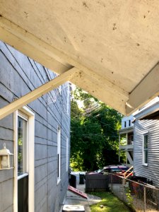 Orb Web, Philadelphia Street, Mainstrasse Village, Covingt… 