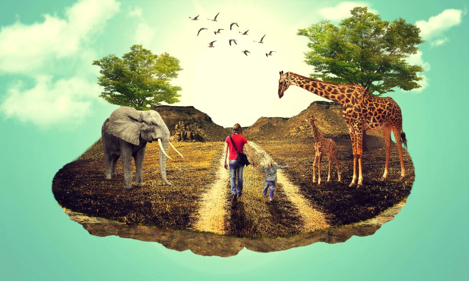 Art landscape landscapephotography