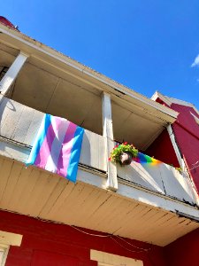 Pride Flags, Bakewell Street, Mainstrasse Village, Covingt… 