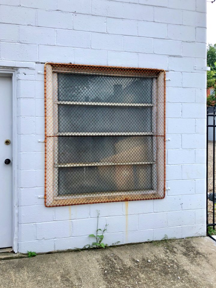 Lehmer Street, Westside, Covington, KY 
