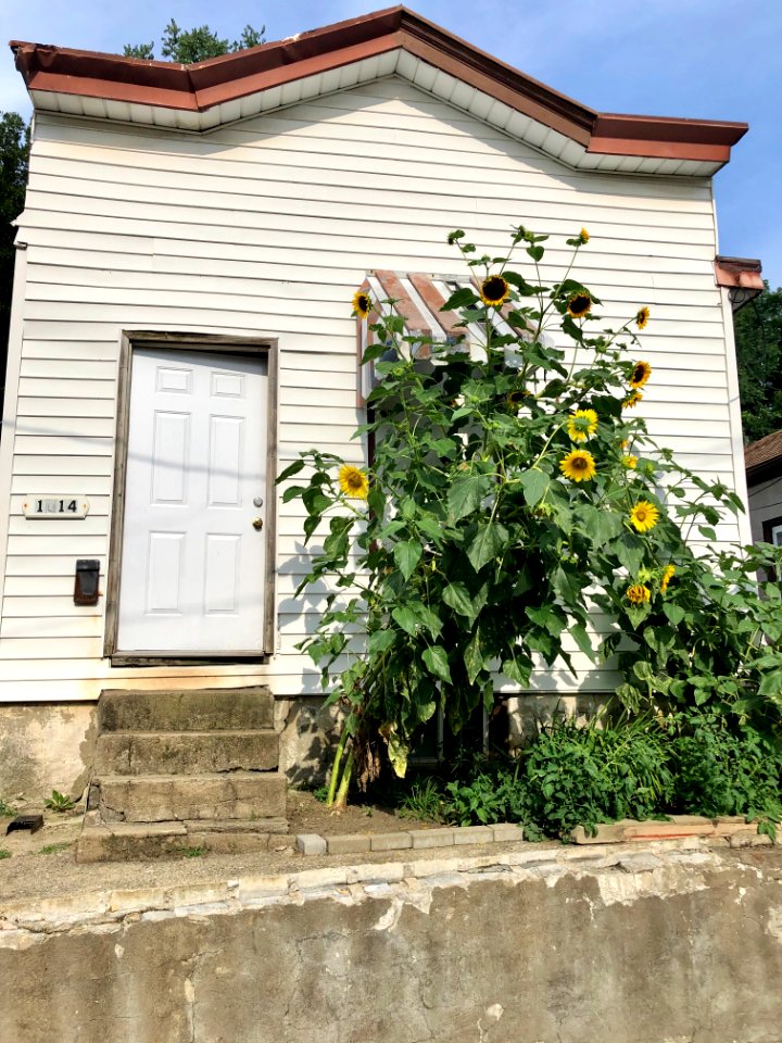 Jackson Street, Westside, Covington, KY 