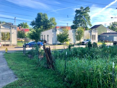 Haver's Shotgun Row, Orchard Street, Westside, Covington, … 