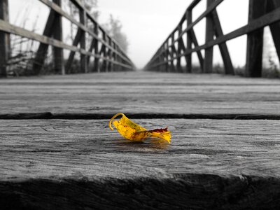 Yellow sheet away infinity