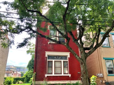 Lee Street, Westside, Covington, KY 