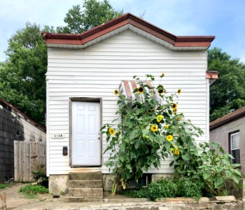 Jackson Street, Westside, Covington, KY 