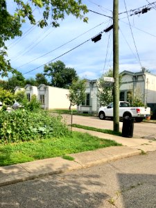 Haver's Shotgun Row, Orchard Street, Westside, Covington, … 