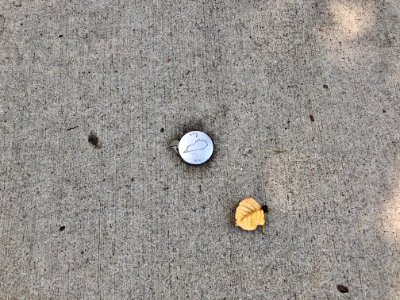 Survey Marker, Martin Luther King, Jr. Boulevard/12th Stre… 