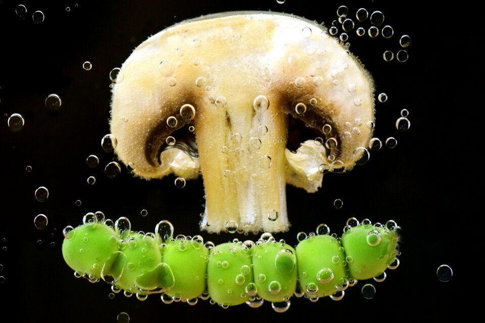 Nutrition eat vitamins