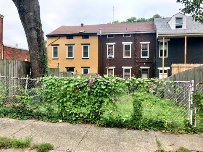 Perry Street, Mainstrasse Village, Covington, KY 