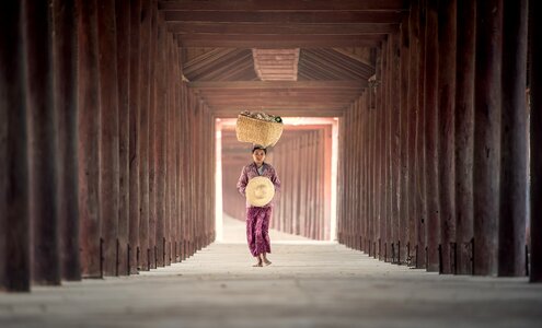 Wheat farm people photo