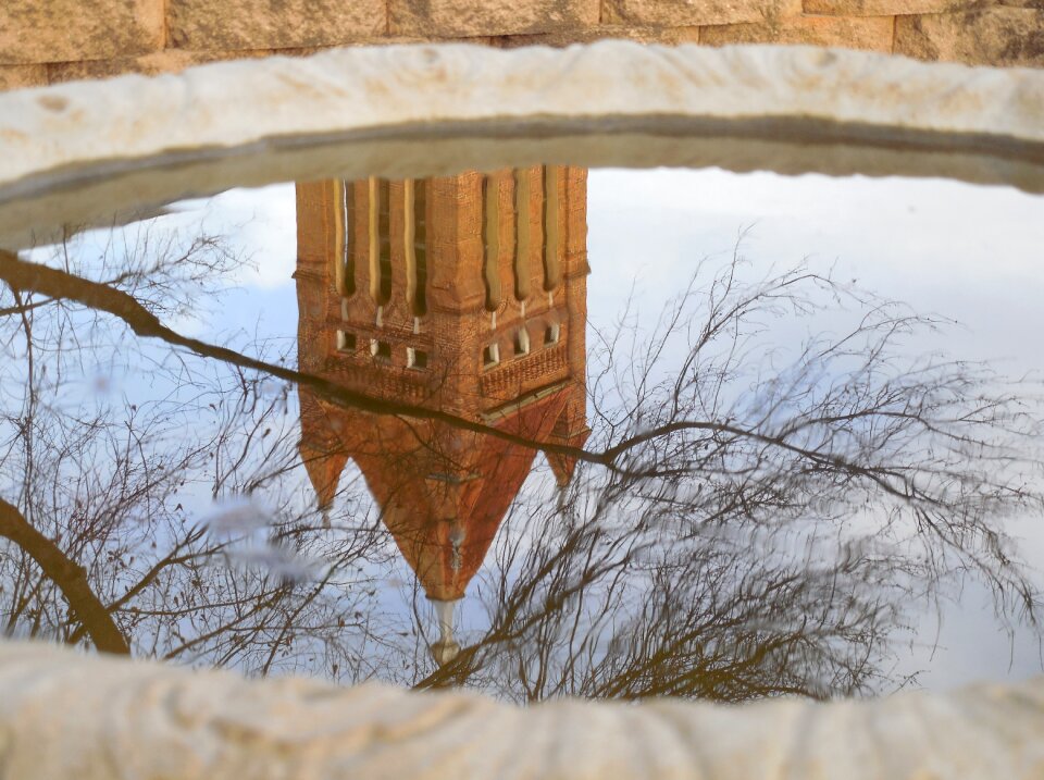 Image water garden