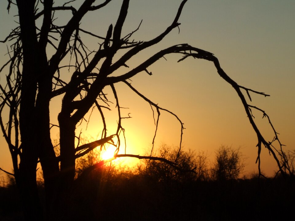 Dead nature reserve