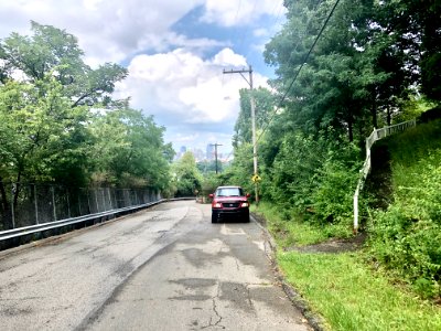 Edgecliff Street, Peaselburg, Covington, KY photo