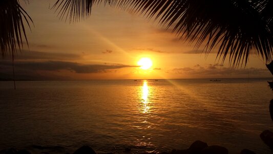 Island sunset brown island