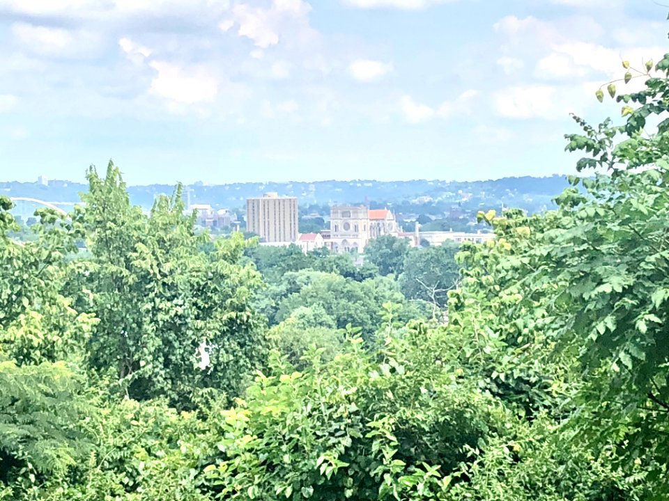 View from the Garden of Hope, Peaselburg, Covington, KY 