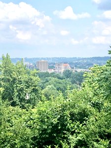 View from the Garden of Hope, Peaselburg, Covington, KY 