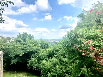 View from the Garden of Hope, Peaselburg, Covington, KY 