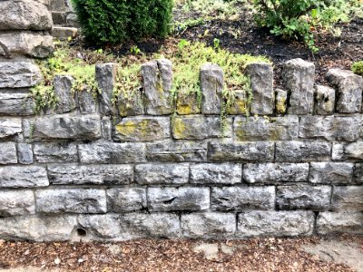 Stone Wall, Elm Street, Ludlow, KY 